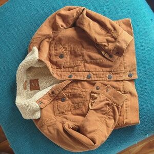 Gap Kids Cord Sherpa Jacket (Unisex) LG